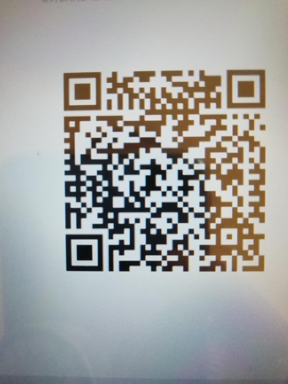 Meltin' Rome Guest House Main image